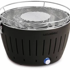 Røykfri kullgrill Lilla