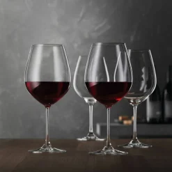 Salute Burgundy vinglass 81 cl 4-pack
