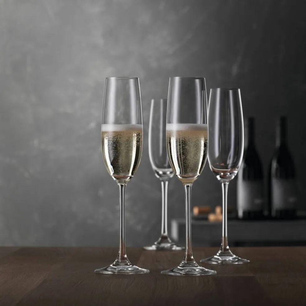 Salute champagneglass 21 cl 4-pack