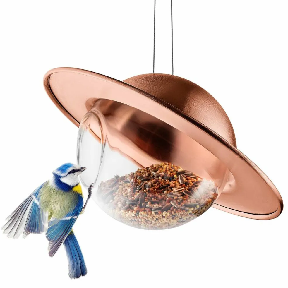 Saturn fuglemater, svart