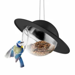 Saturn fuglemater, svart