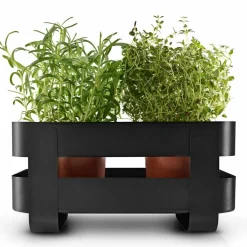 Selvvannende Herb Organiser stål, sort