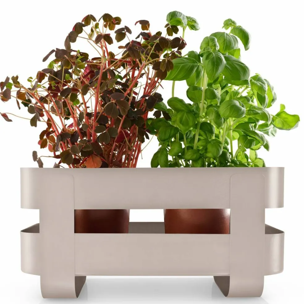 Selvvannende Herb Organiser stål, sort