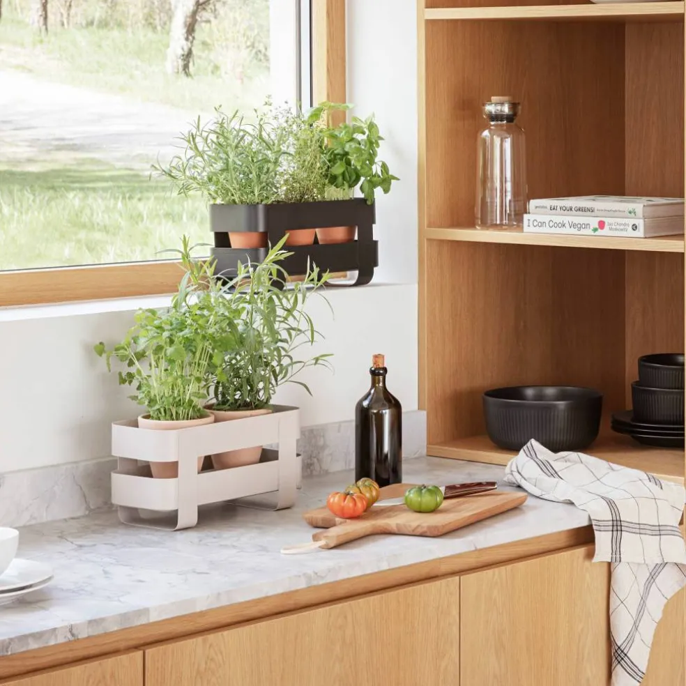 Selvvannende Herb Organiser stål, sand