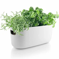 Selvvannende Herb Organiser Svart