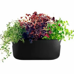 Selvvannende Herb Organiser Svart