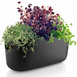 Selvvannende Herb Organiser Hvit