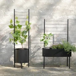 Simply Grow espalier til stor ytterpotte