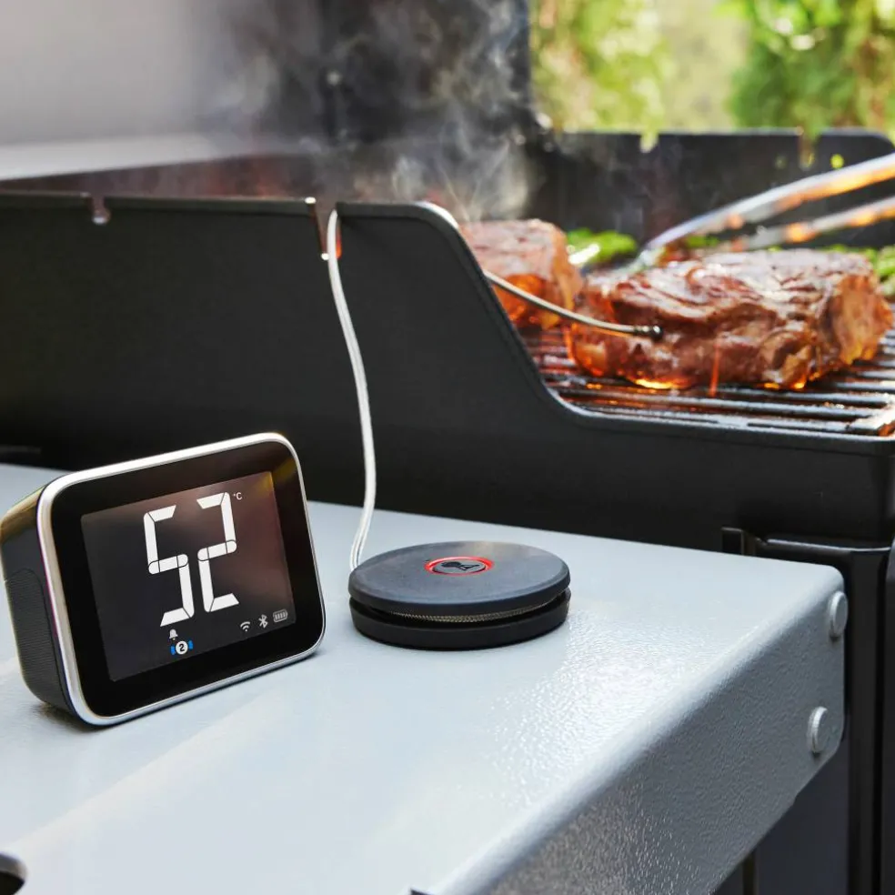 Smart Hub termometerdisplay med mottaker