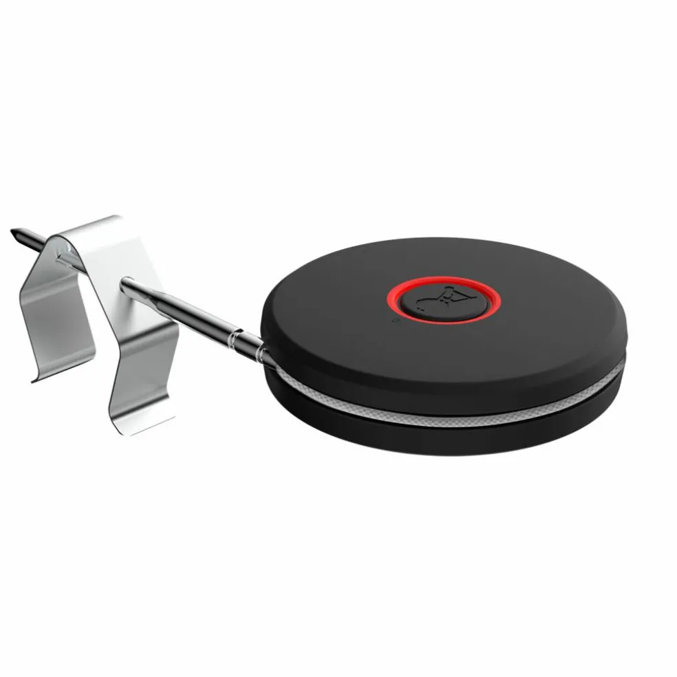Smart Termometer med ledning