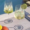 Sommertau Parrot Vinglass, 2-pakning