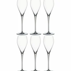 Special Glasses champagneglass 25 cl 6-pakning