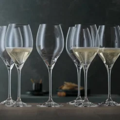 Special Glasses champagneglass 45 cl 6-pakning