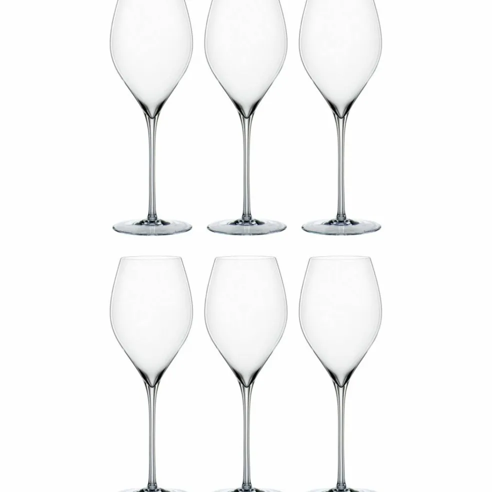 Special Glasses champagneglass 45 cl 6-pakning