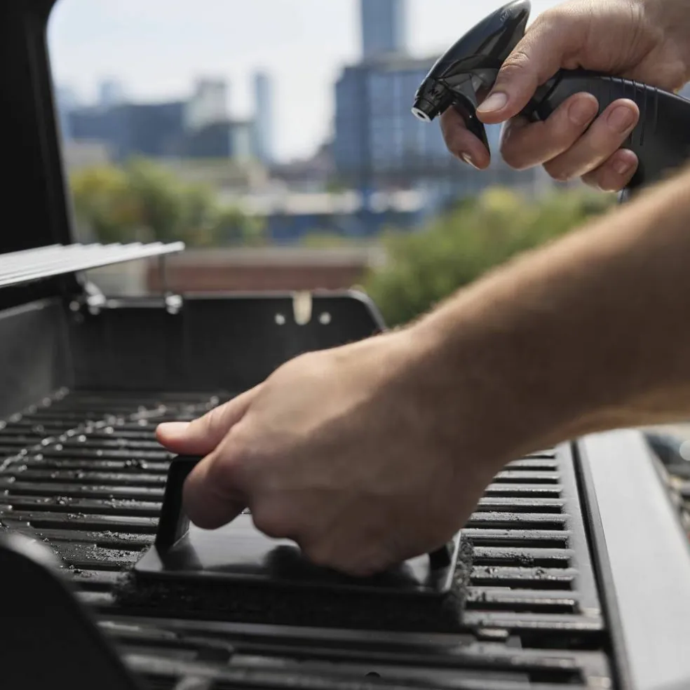 Spirit E-425 Gassgrill