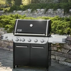 Summit E gassgrill