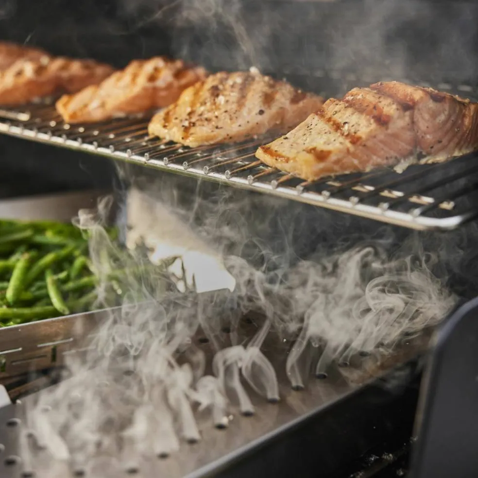 Summit E gassgrill