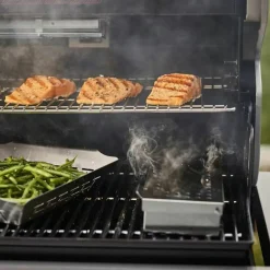 Summit FS38 S gassgrill