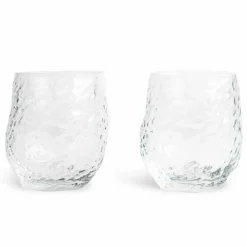 Swan glass 2-pack