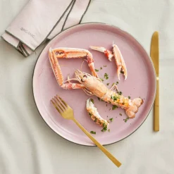 Tallerken Gastro 27 cm grå/rosa Bit