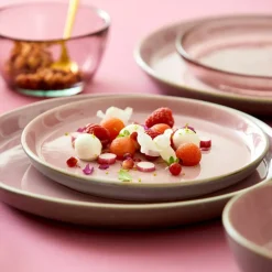 Tallerken Gastro 21 cm grå/rosa Bit