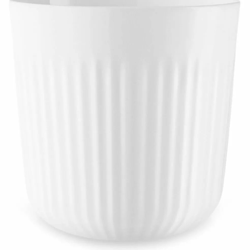 Termokrus Legio Nova 25 cl.