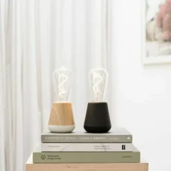 The Humble One bordlampe, moss