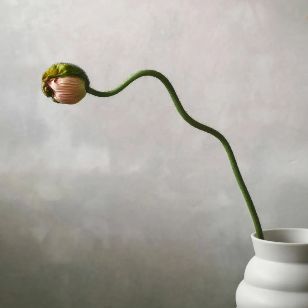 Tortus Archie Vase 21 cm, hvit