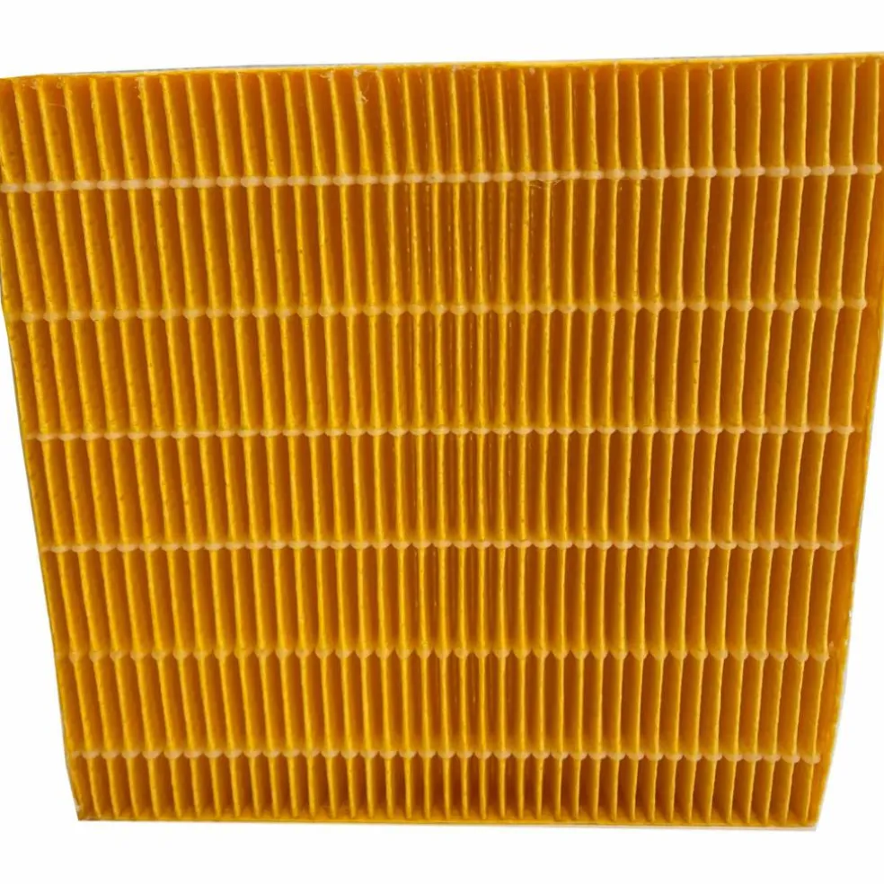 Vannfilter til DryAged Master 4-pakk