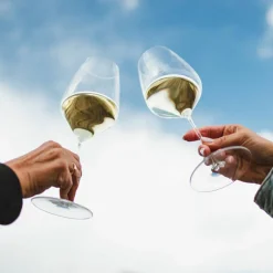 Veloce Riesling / Zinfandel, vinglass 2-pakning