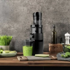 Vita Fresh Slow Juicer