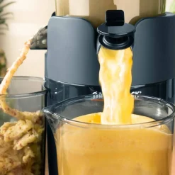 Vita Fresh Slow Juicer