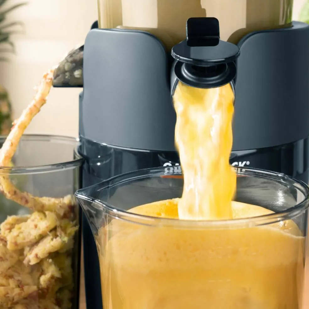 Vita Fresh Slow Juicer