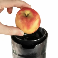 Vita Fresh Slow Juicer