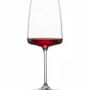 Vivid Senses Flavoursome & Spicy vinglass 66 cl, 2-pakning