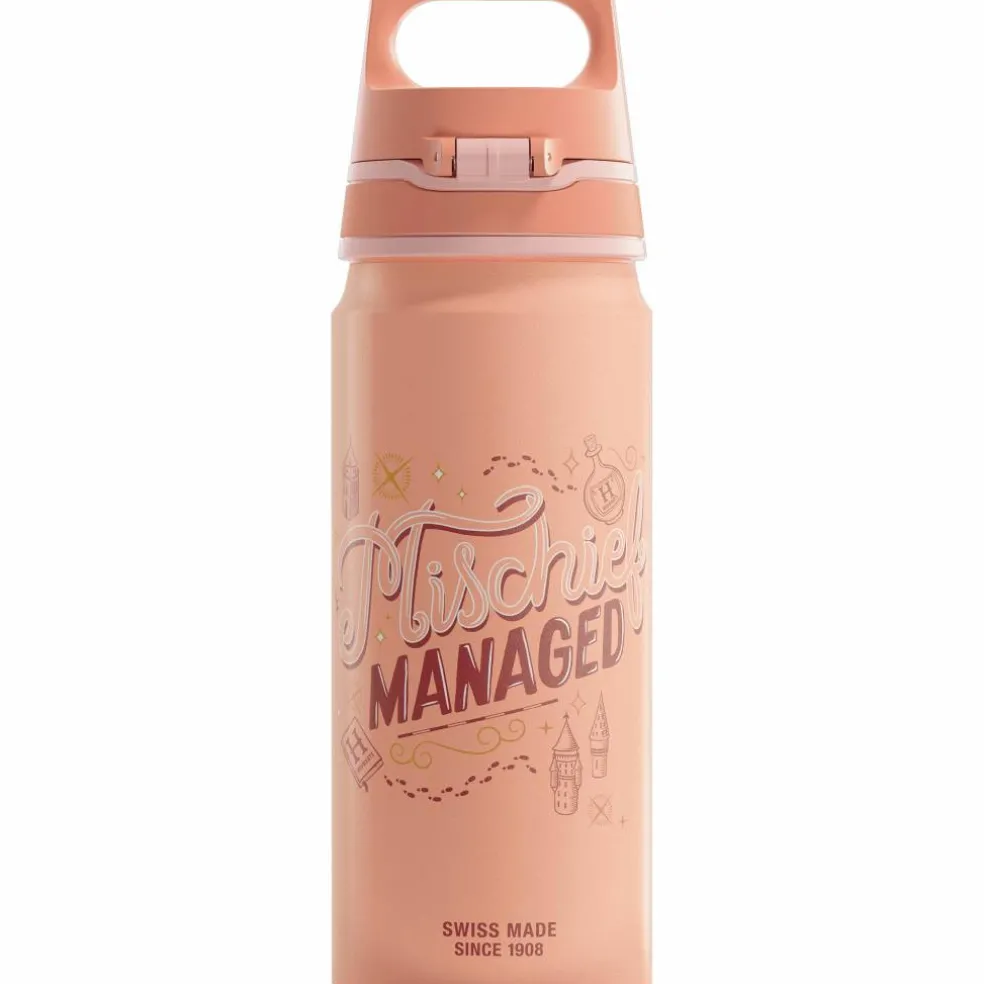 Warner Bros WMB ONE flaske 0,6 liter, Harry Potter