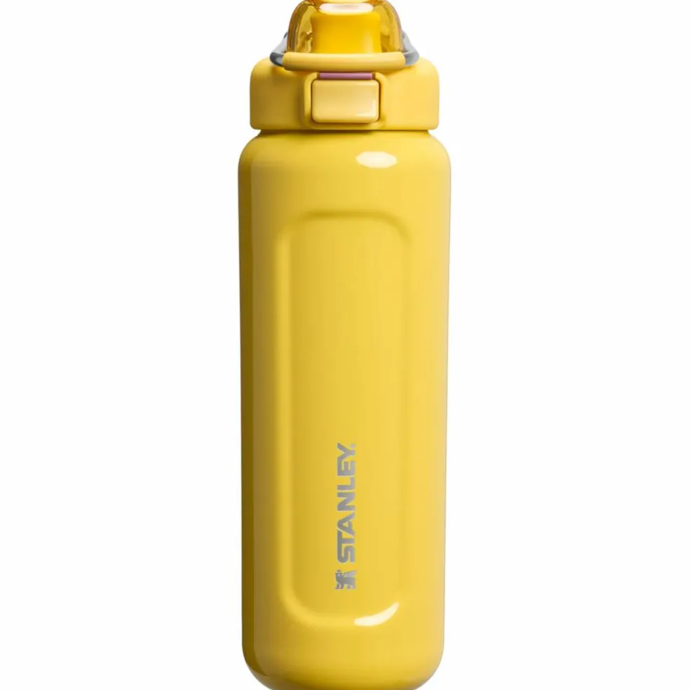 Wellspring isolert flaske 0,71 liter, purple smoke