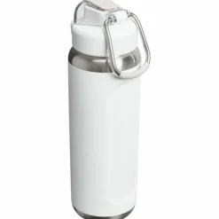 Wellspring isolert flaske 0,71 liter, frost