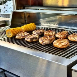 Z gassgrill, rustfritt stål/svart